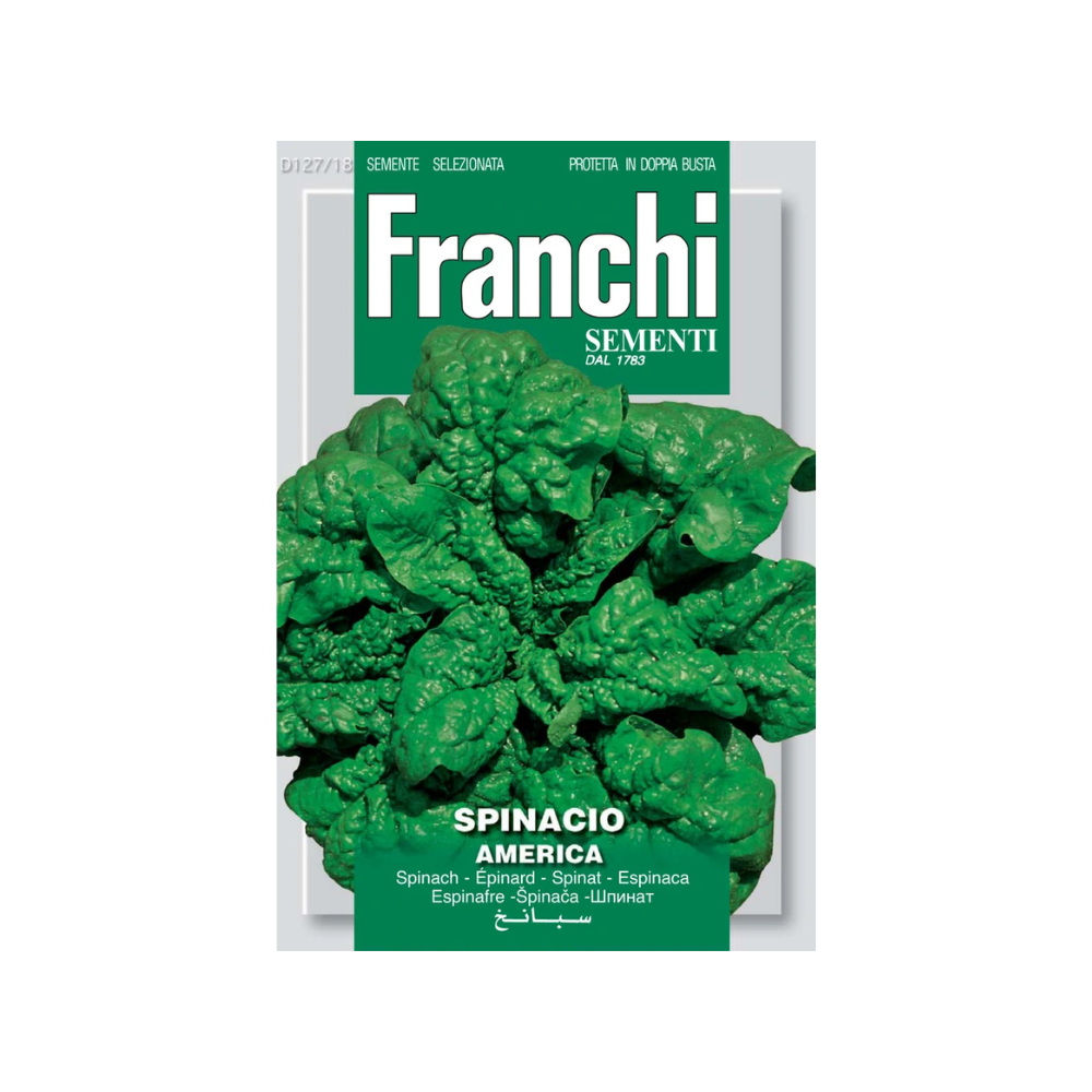 Franchi - Spinach America