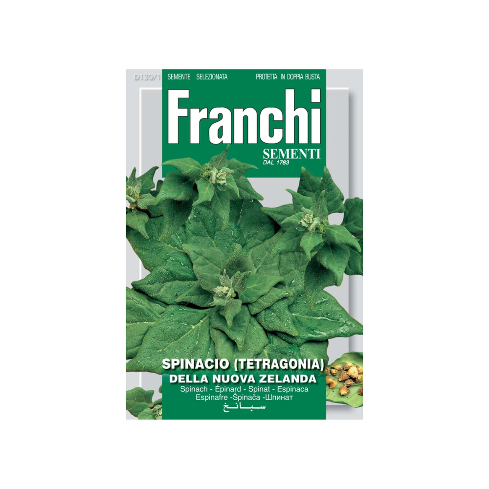Franchi - Spinach Tetragonia