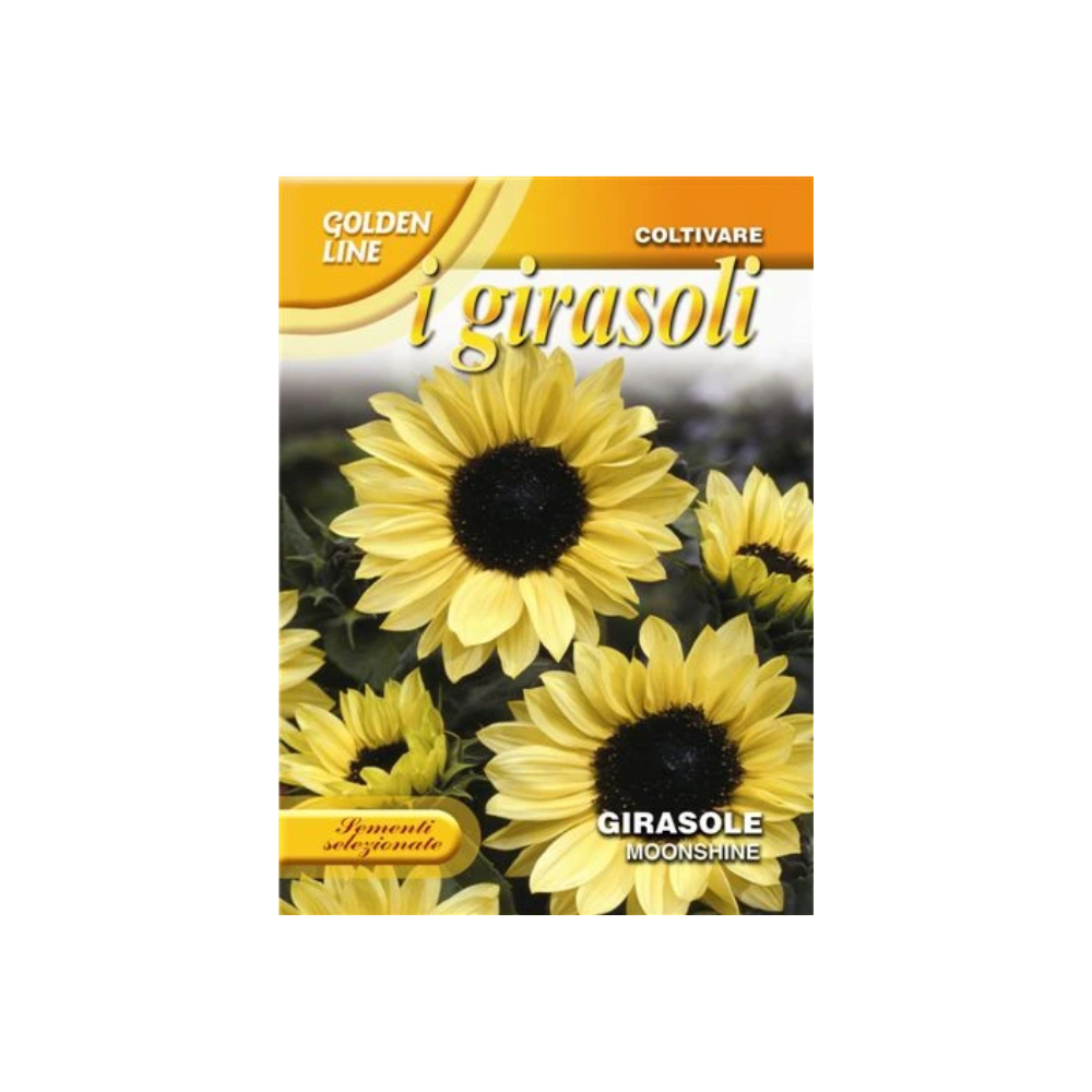 Franchi - Sunflower Moonshine