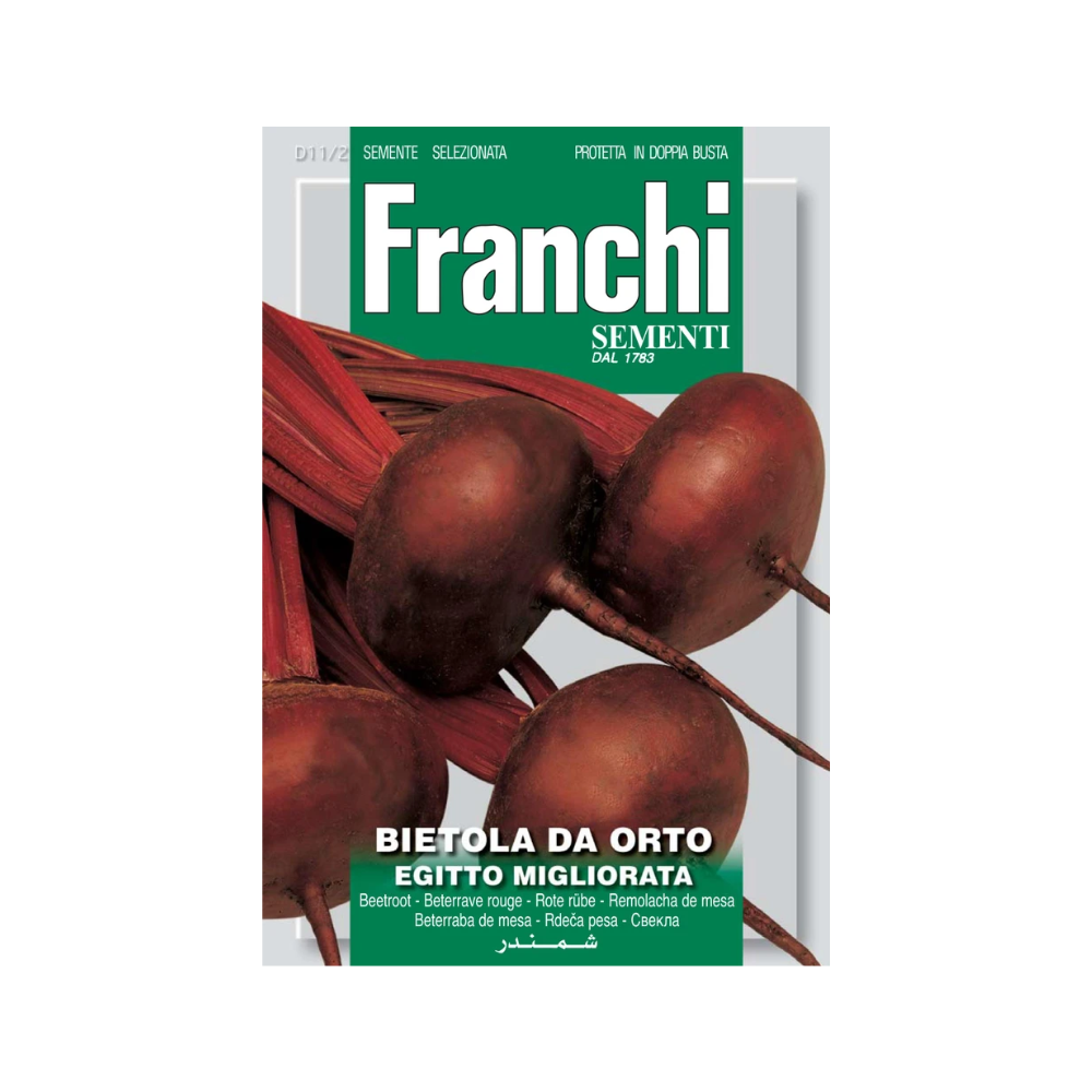 Franchi Beetroot Egitto Migliorata