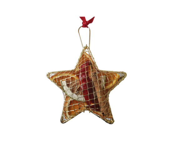 Jormaepourri - Christmas Hanging Metal Mesh Case / Star