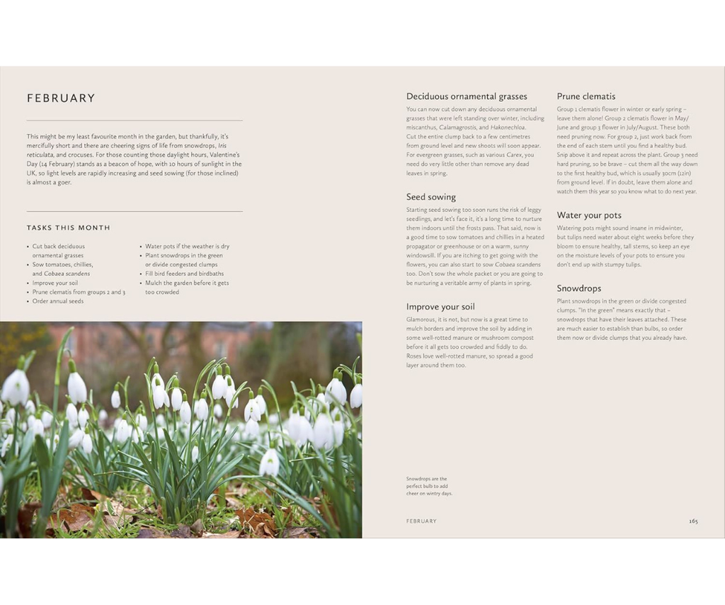 How To Design A Garden