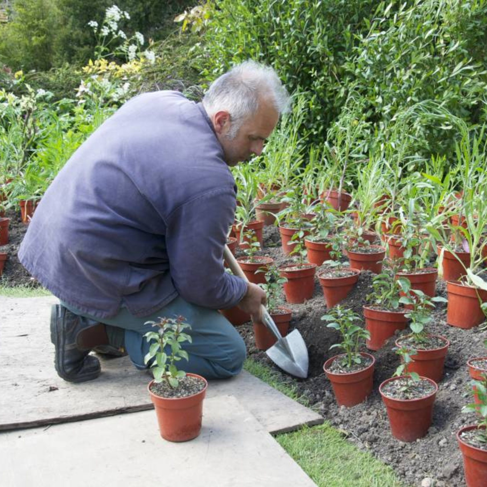 Sneeboer & Zn - Great Dixter Planting Spade 42cm Handle