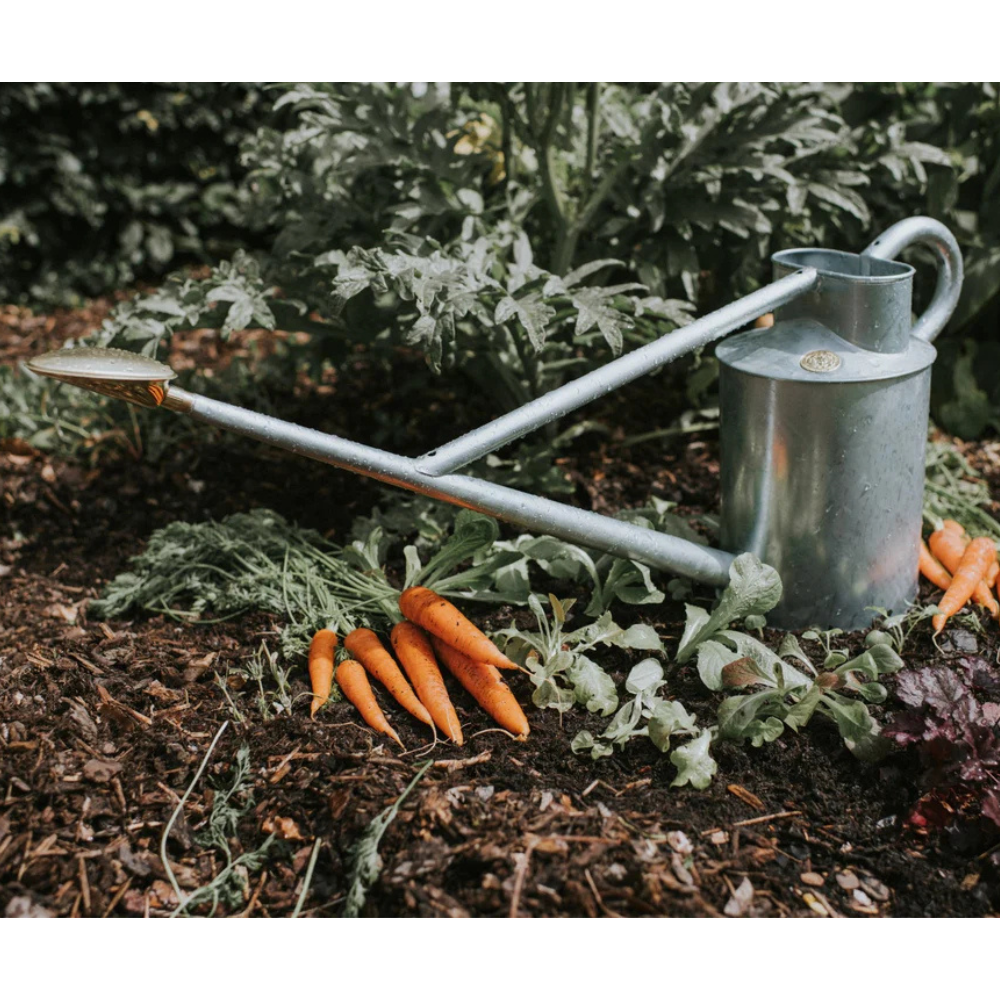 Haws - The Warley Fall 2 Gallon Galvanised