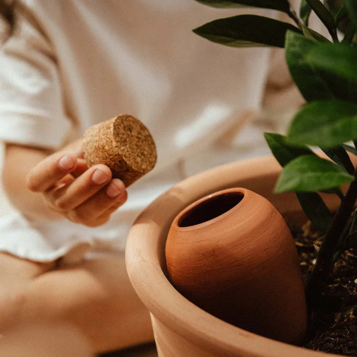 Pepin - Mini Olla / Terracotta