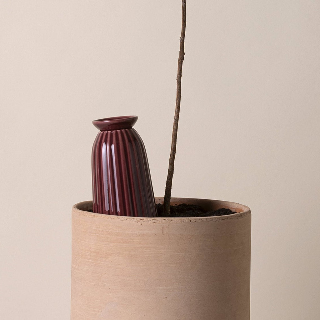 Bergs Potter - Cove Watering Olla - Deep Burgundy