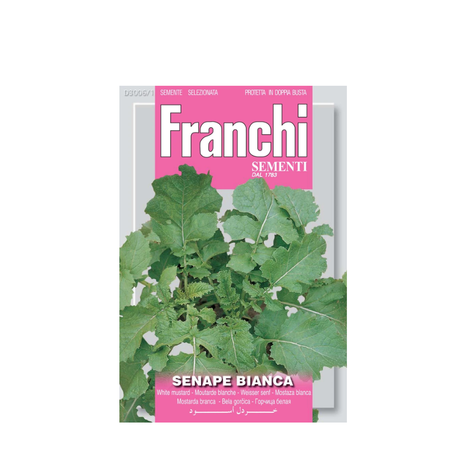 Franchi - Senape/Mustard