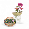 Pepin - Flowers Bobeche / Speckled White