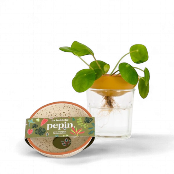 Pepin - Plants Bobeche / Speckled White