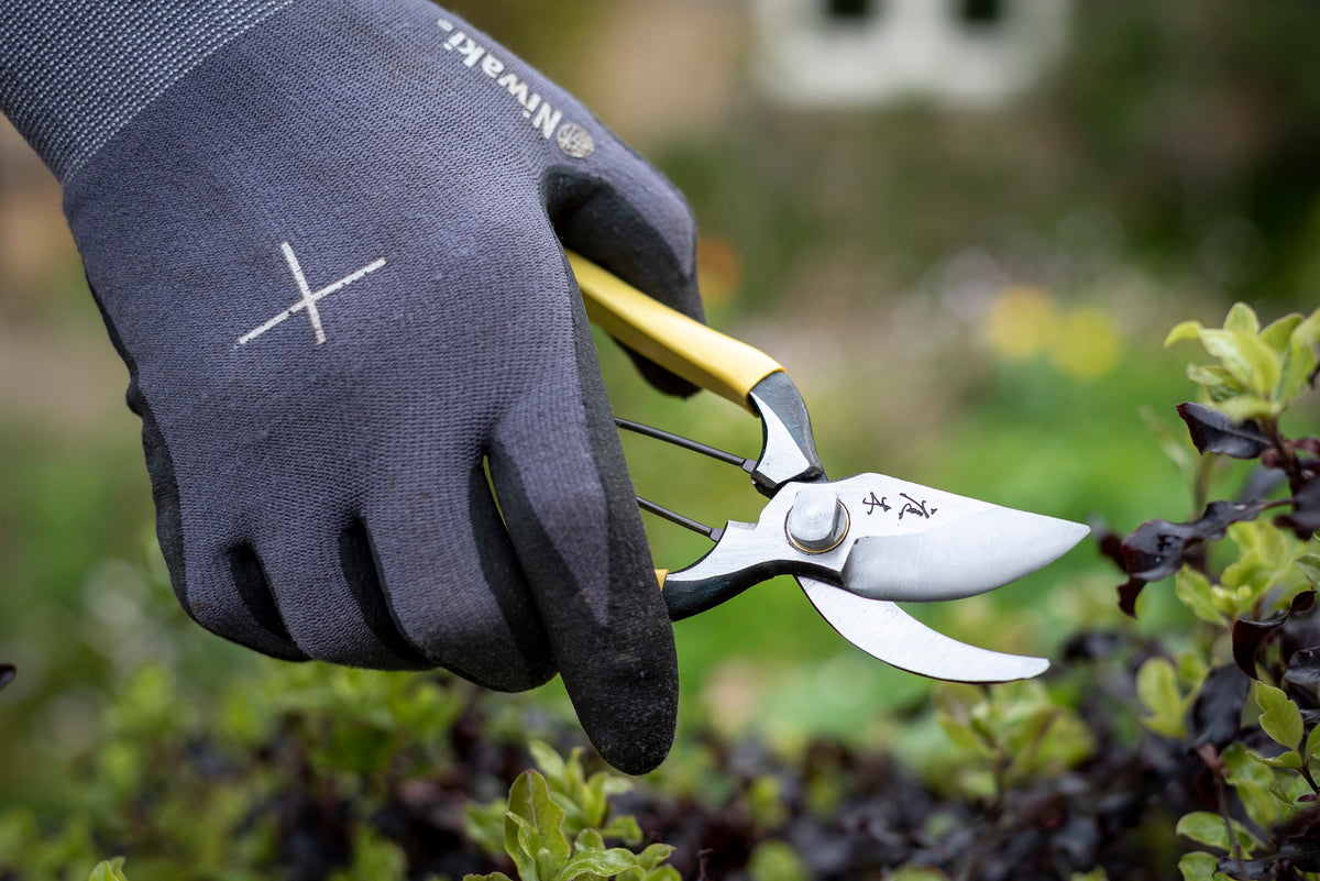 Niwaki: A Japanese Way of Gardening