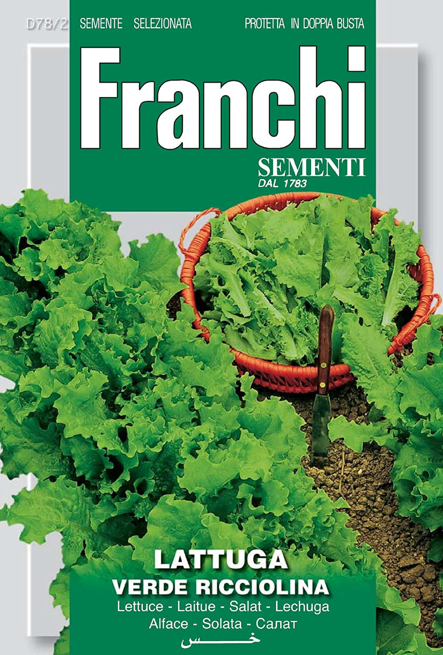 Franchi Lettuce Verde Ricciolina