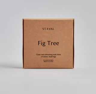 St. Eval Tealight 9 Pack - Fig Tree