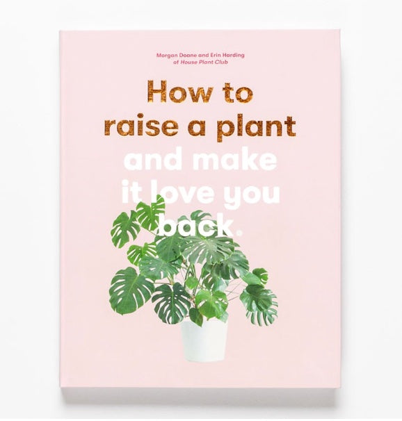 How to Raise a Plant and Make It Love You Back