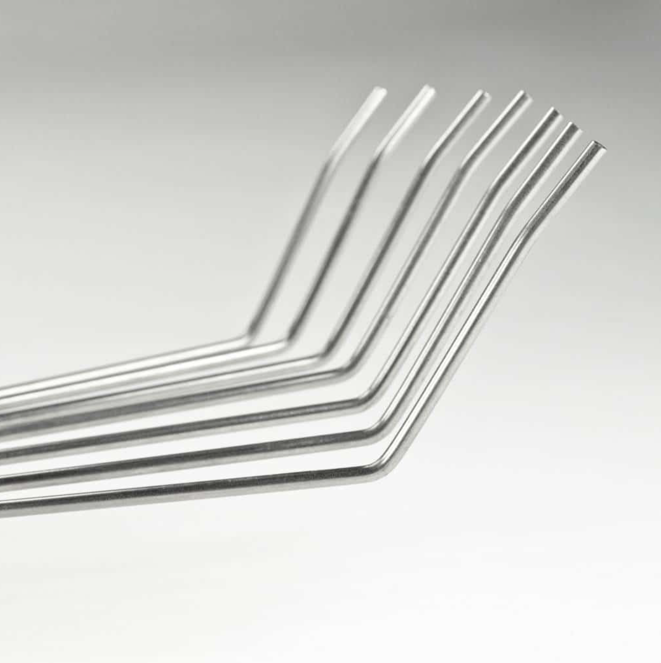 Sneeboer & Zn - Hand Leaf Rake Ash Handle