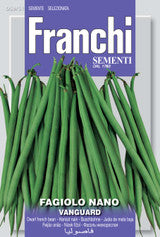 Franchi Dwarf French Bean- Boby Bianco